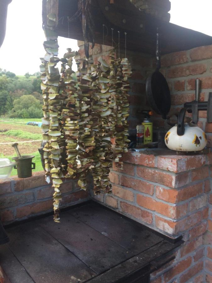 Bieszczadzka Sielanka Villa Wojtkowa Kültér fotó