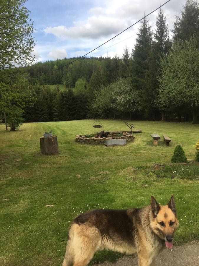Bieszczadzka Sielanka Villa Wojtkowa Kültér fotó